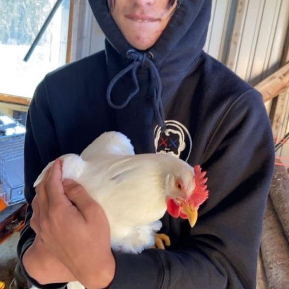 Meet your Posher, Noah - Picture 1 of 1